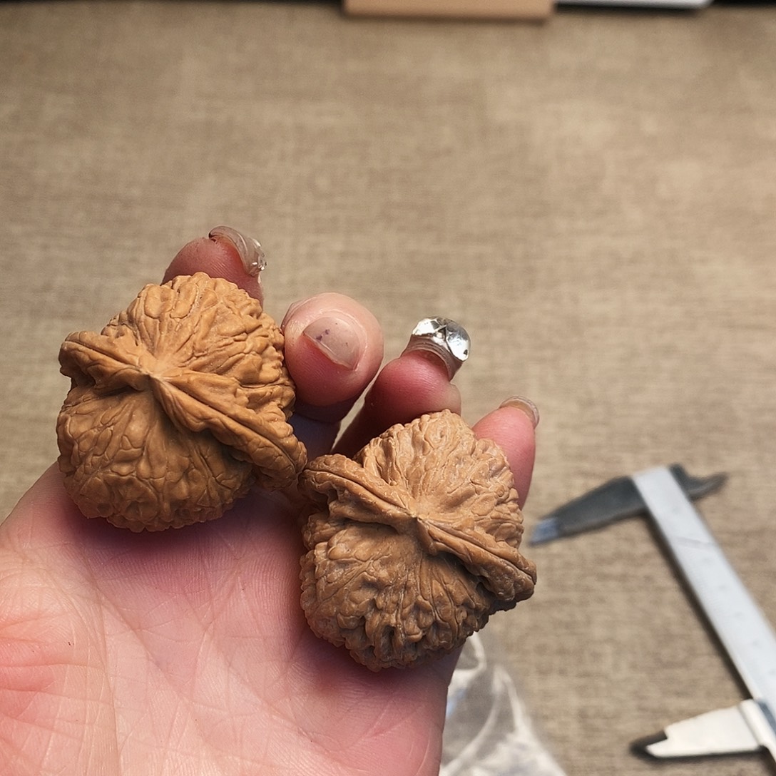 肉***森大叶紫檀（黑酸枝木类）