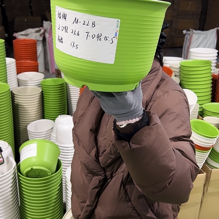 正品矮陶口23.6高17.5果绿带托6只