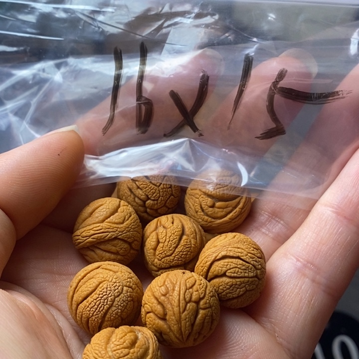 文玩核桃手串秦岭野生龙纹桃核16