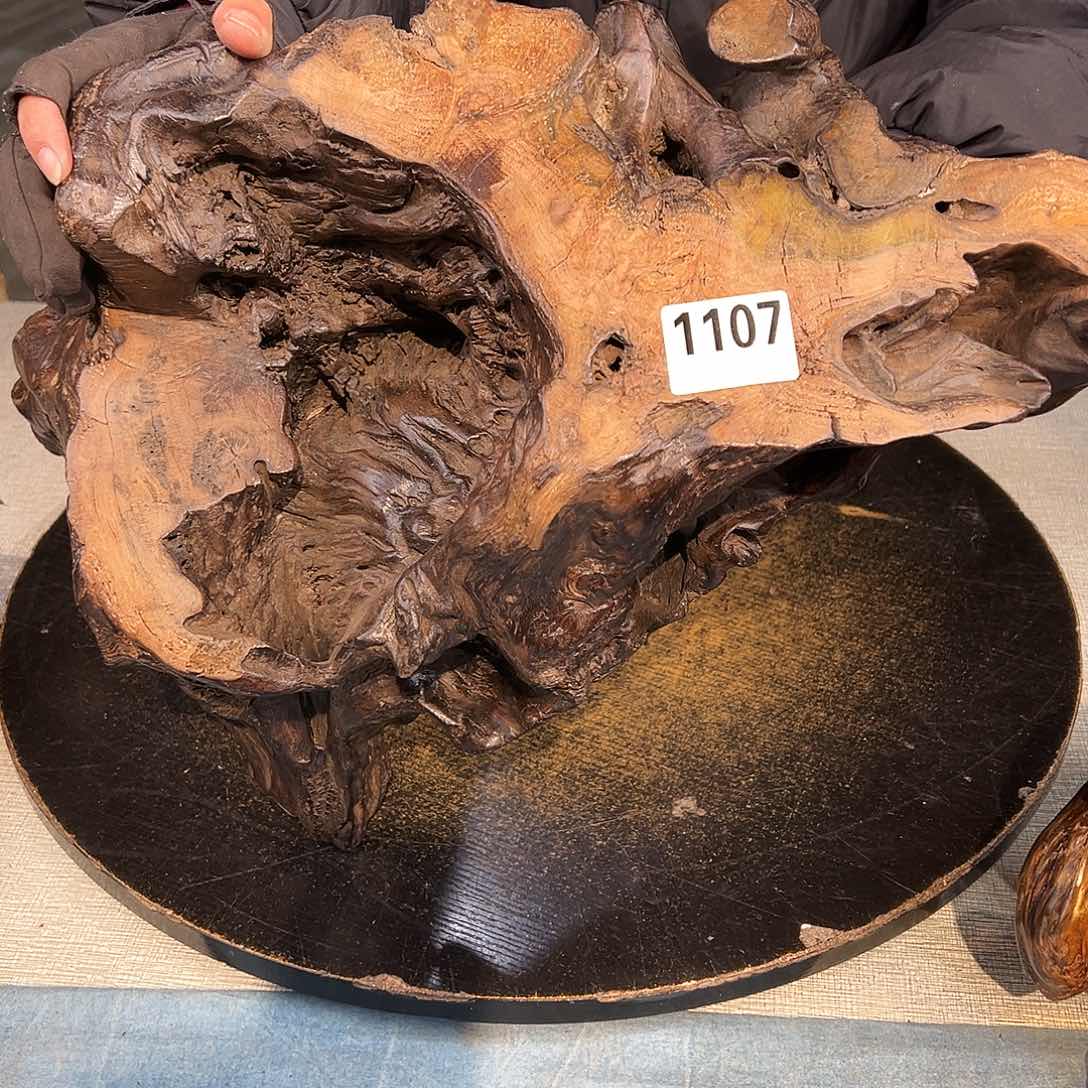 木7****51107w w w w w w wq ww