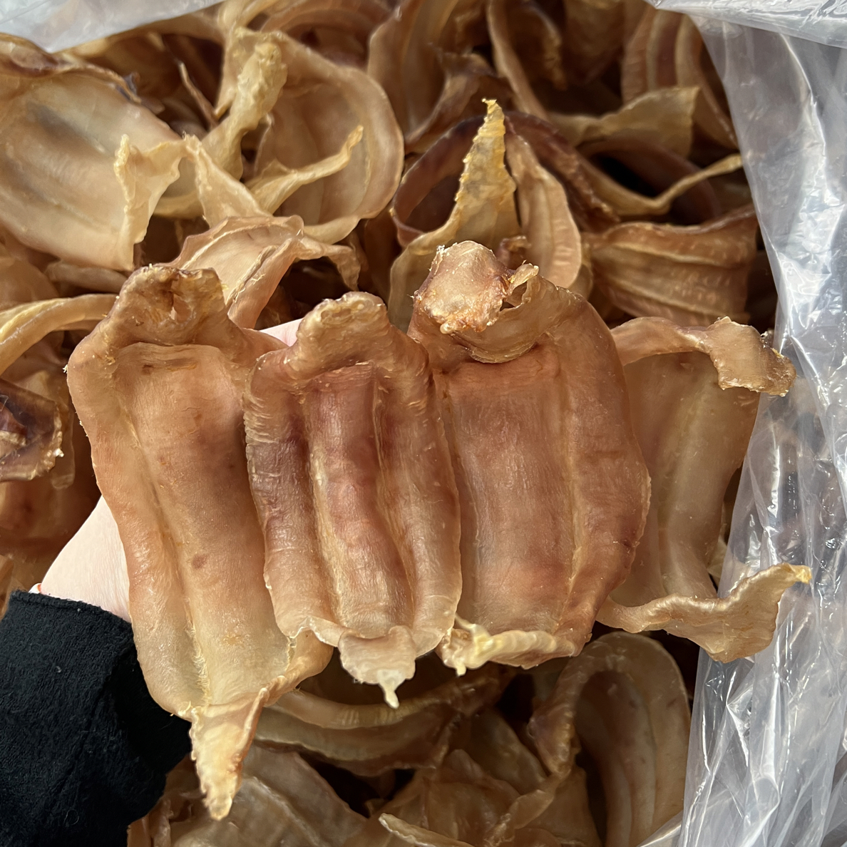 土鳘公鱼胶22头规格厚肉滋补深海干货花胶