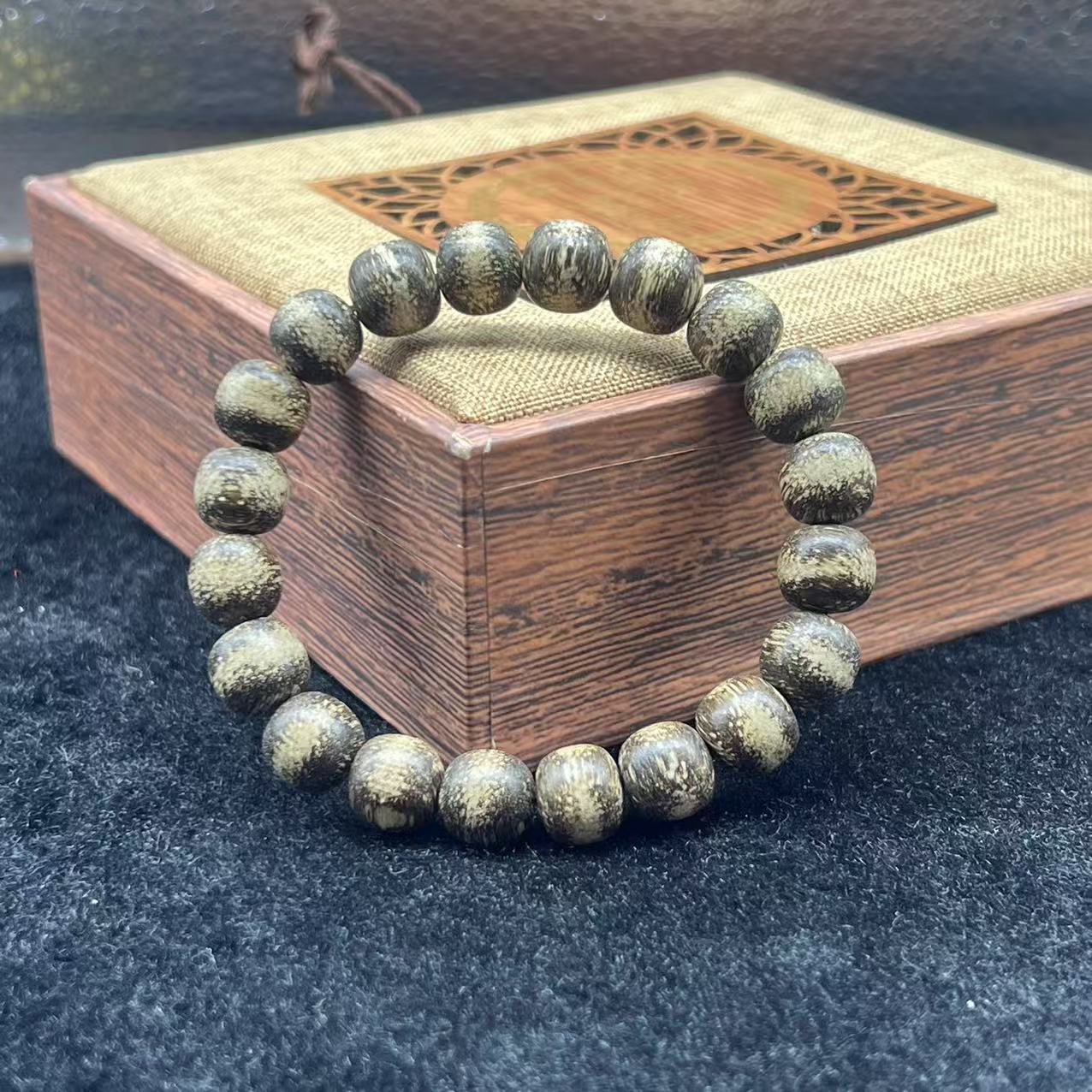 【百世璀璨 尽耀光芒】神龙木YJJ002