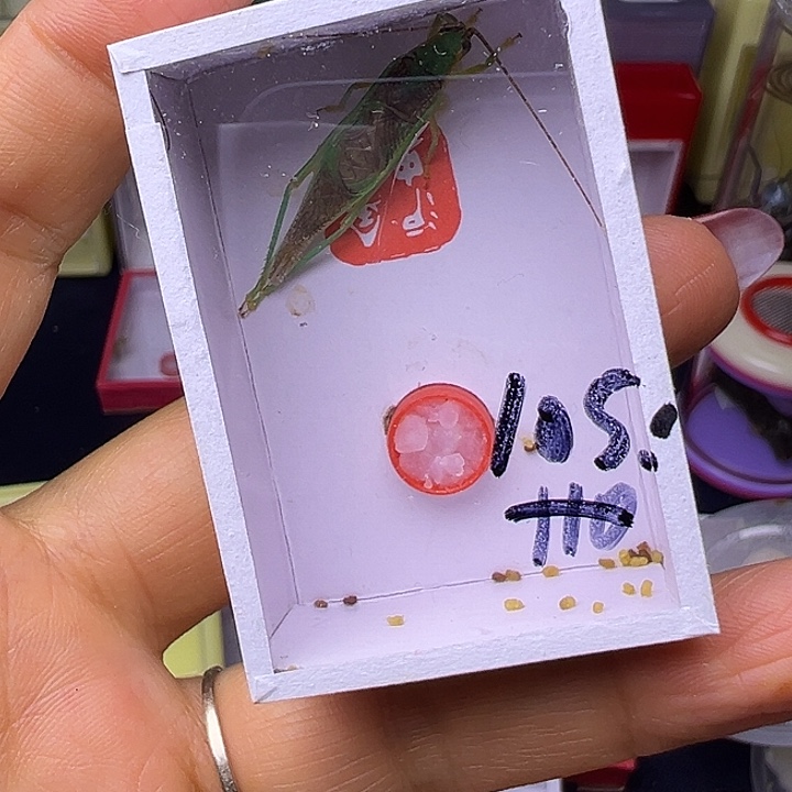 叶***1哈哈哈哈哈哈哈哈哈哈哈哈