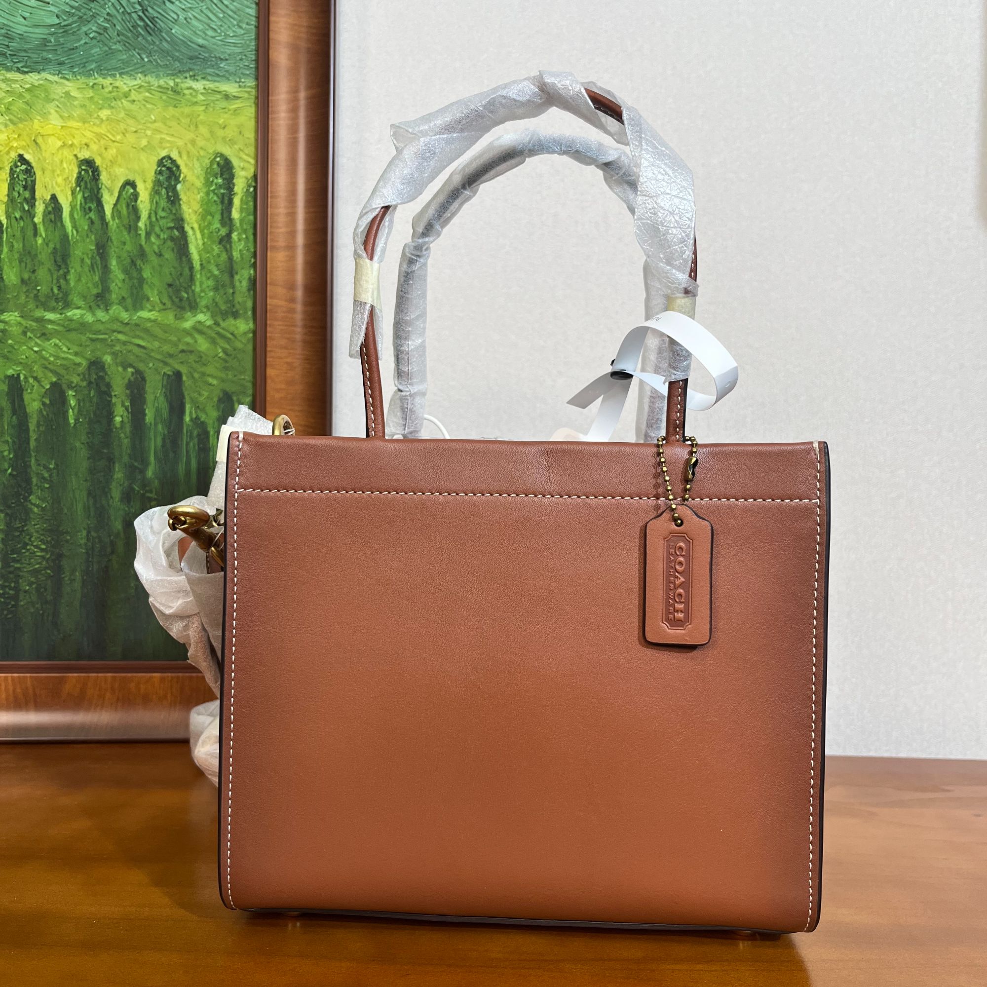 95新 COACH/蔻驰 单肩包/22*13*20/A759