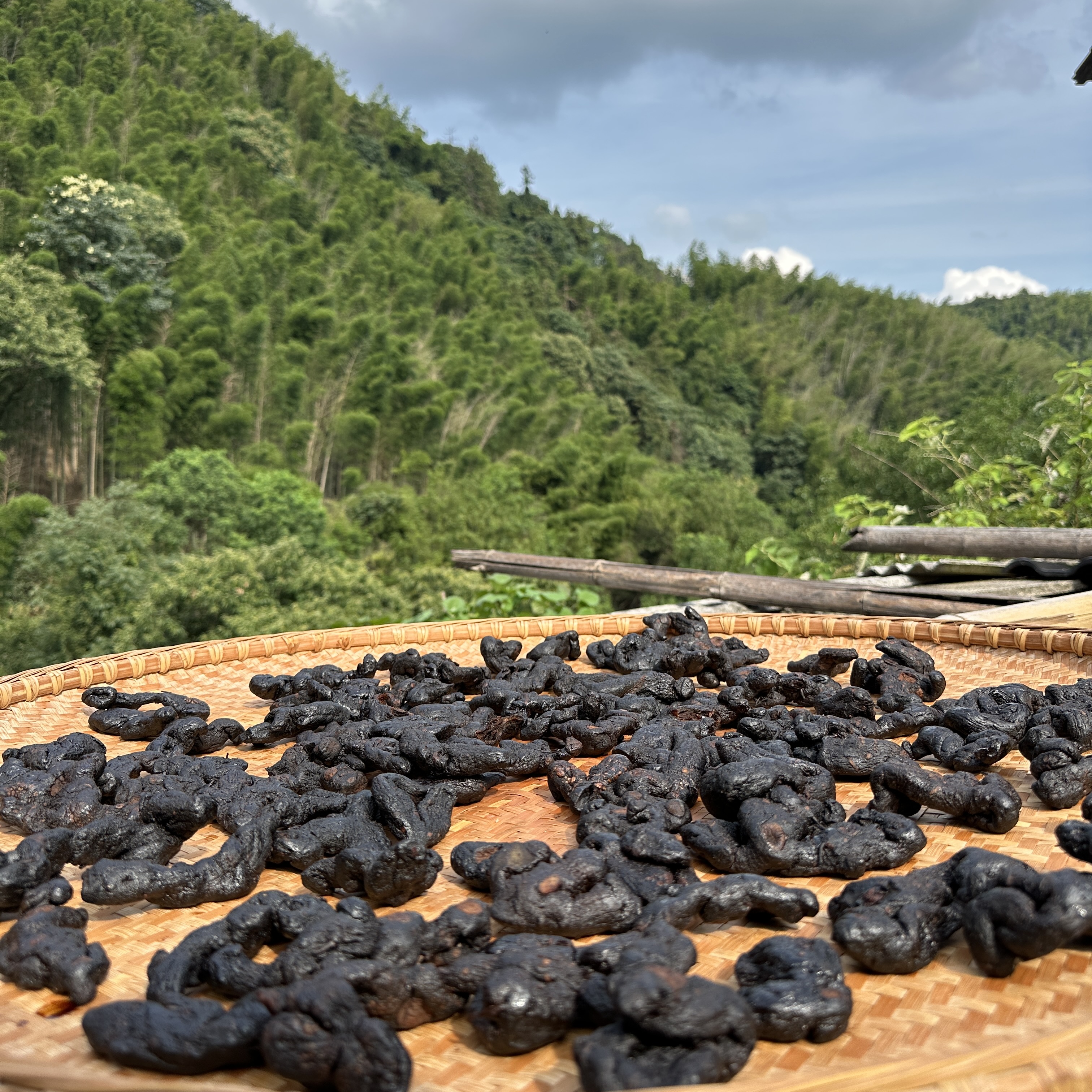 【七妹山货】正宗九蒸九晒-九华黄精