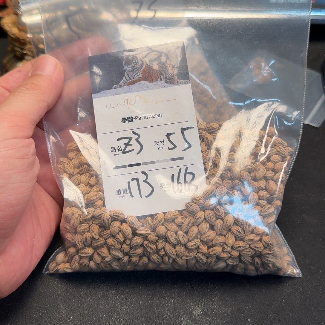 还***吗柏香籽/百香籽吊坠