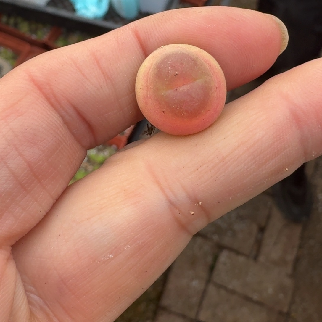 ?****?5-105p p p p p p p p