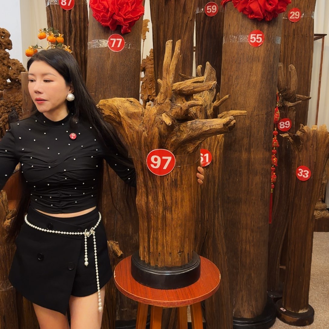 禄***辰沉香原材料2457789