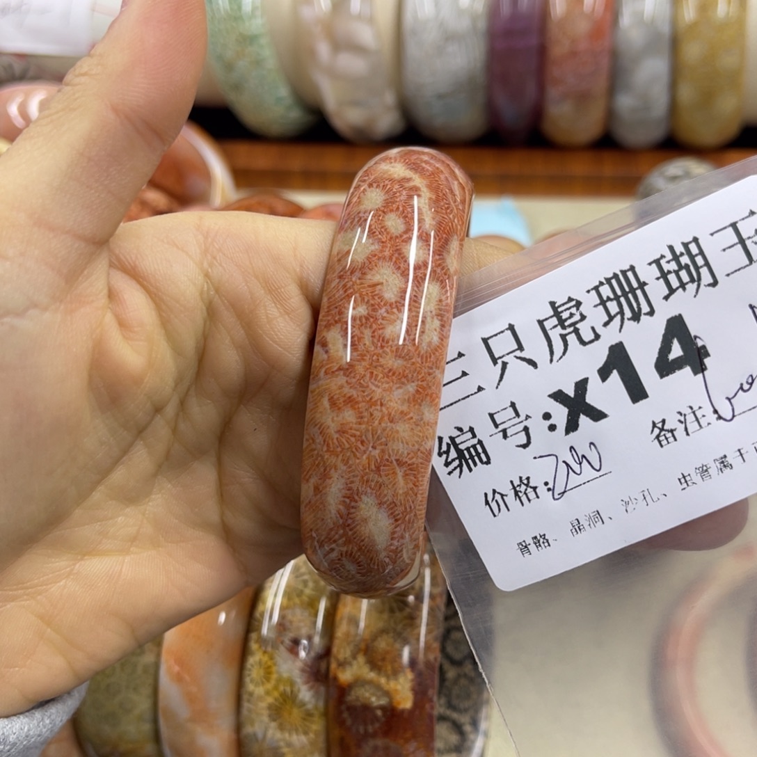 ****硅化珊瑚（珊瑚玉）未镶嵌h