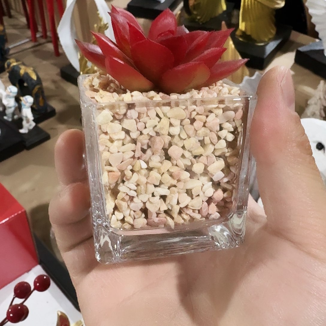 树脂树脂树脂树脂