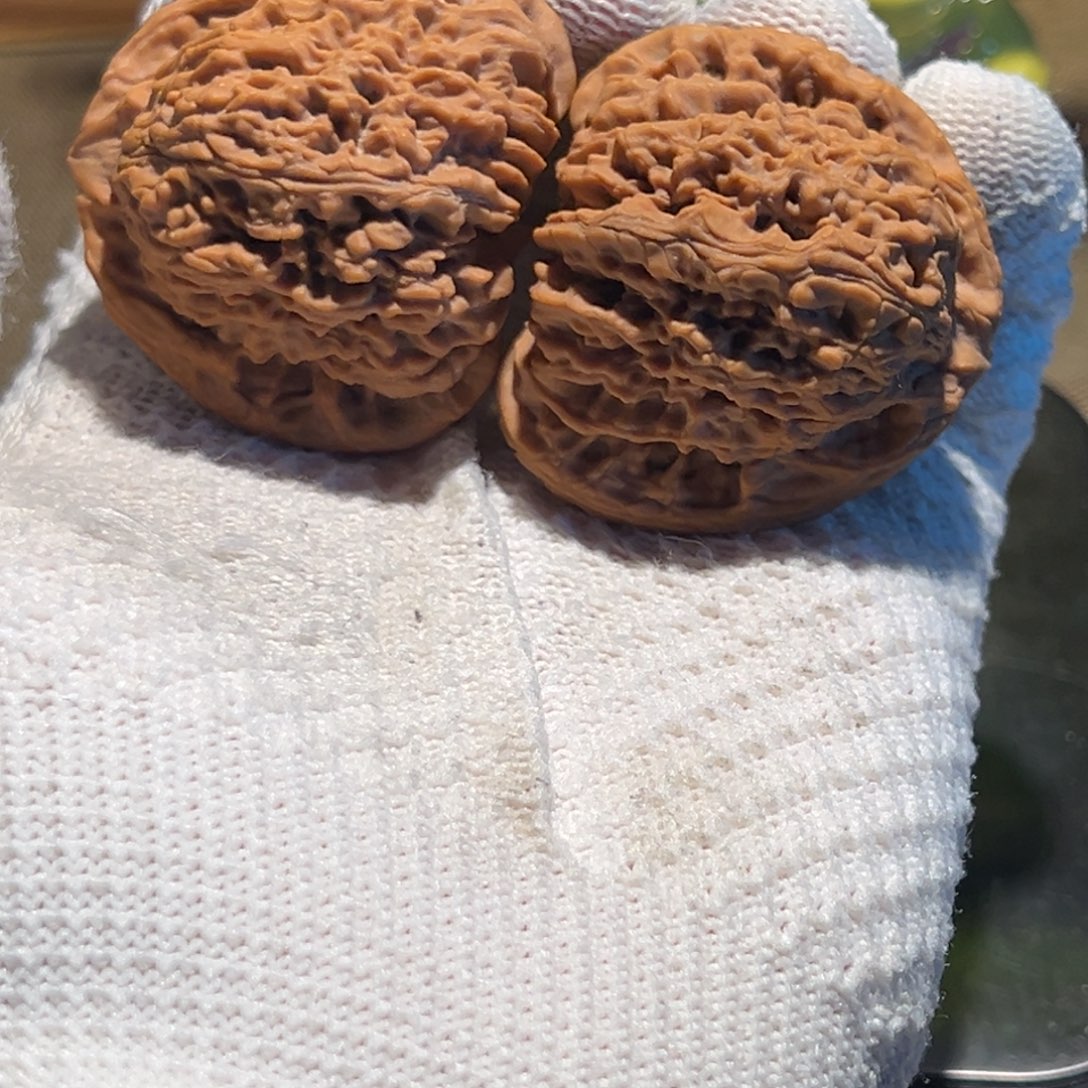 吊坠文玩核桃46.5天残三角疆 