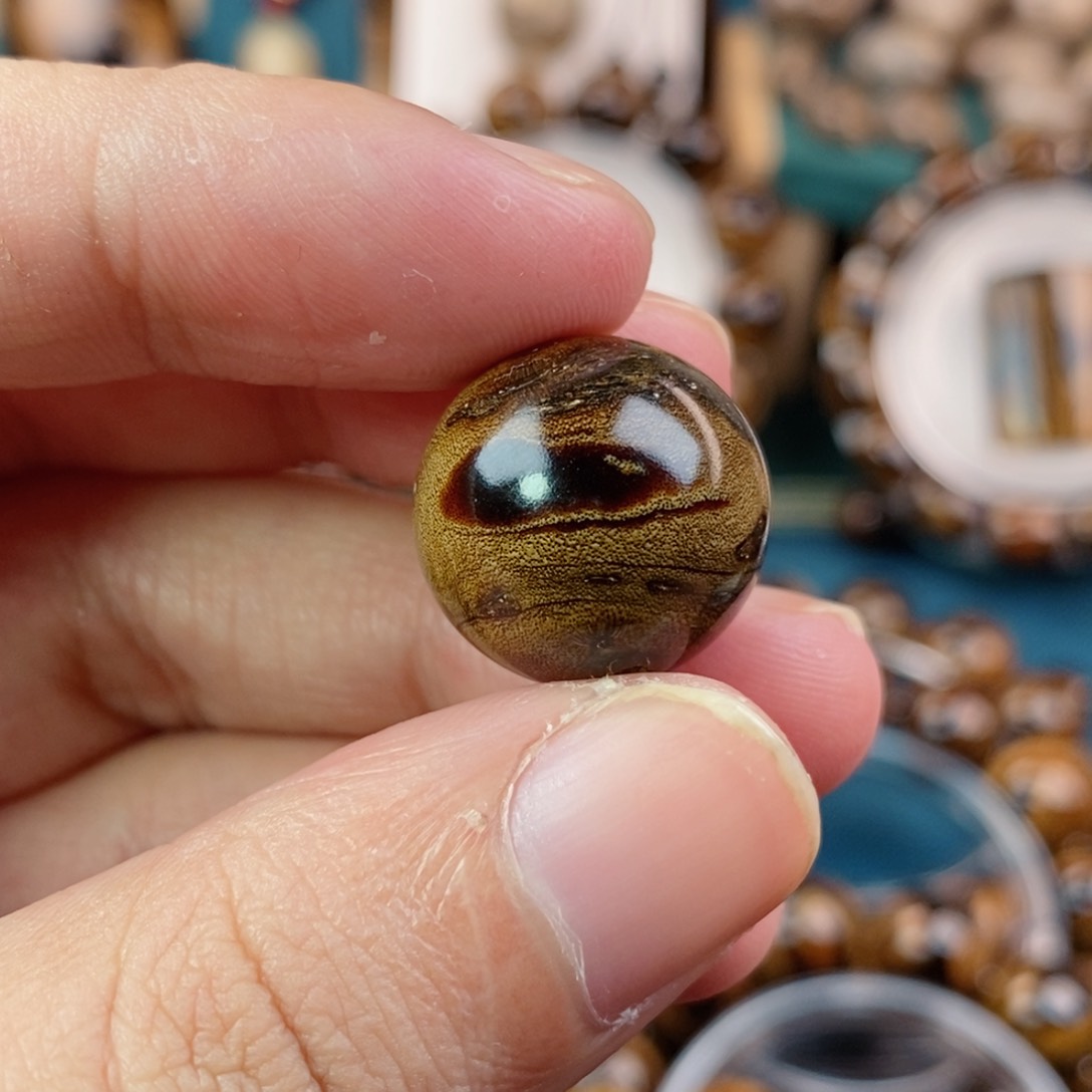 木纯天然海柳血柳2A全品1.8