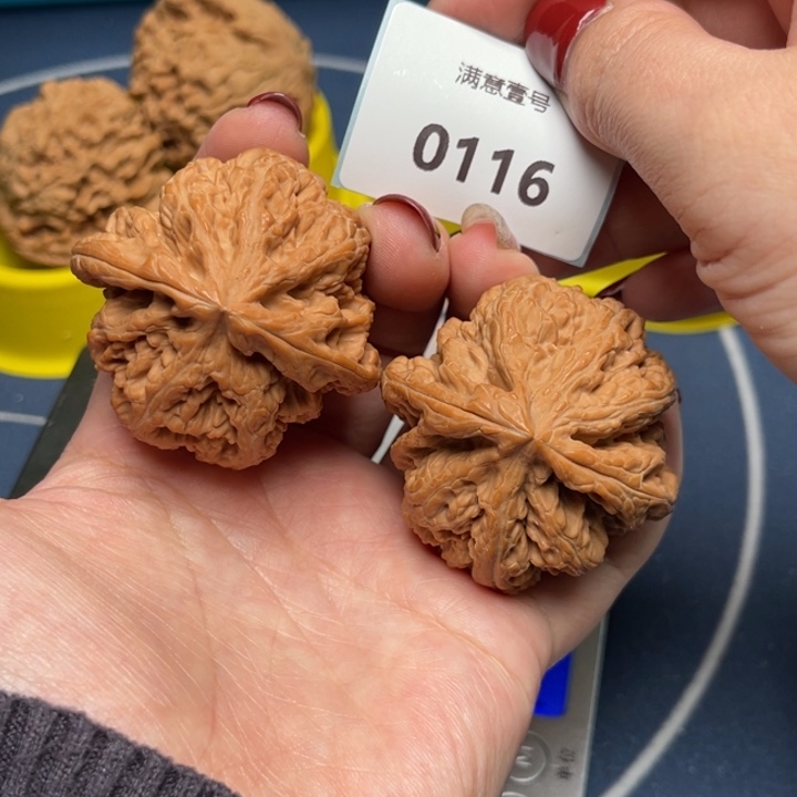 文玩核桃把件粗筋47