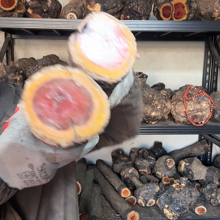 用***3香榧木火琉璃的故事是一个人的