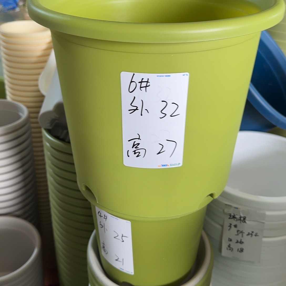 树脂四季6号无托果绿7个