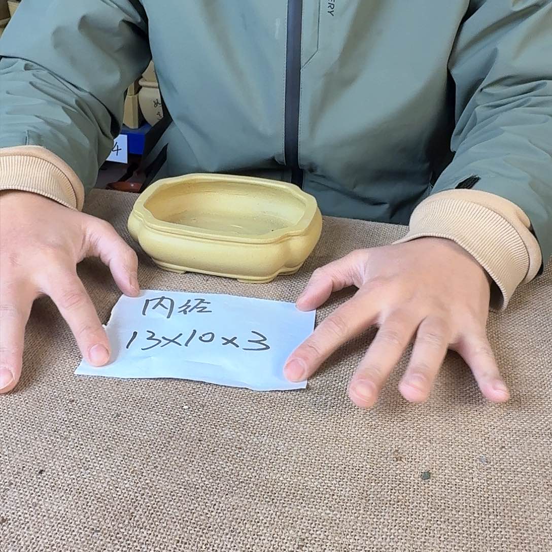 宜兴紫砂闪购链接 