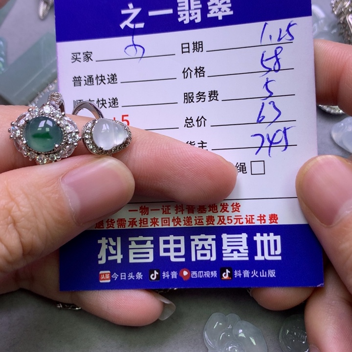 翡翠颈饰银S925镶嵌小*