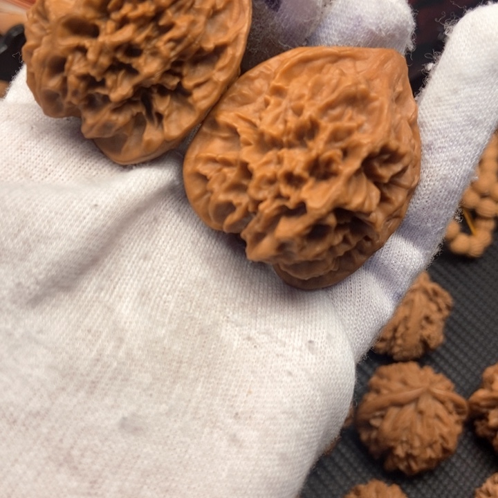 富**！秦岭大花核桃全品