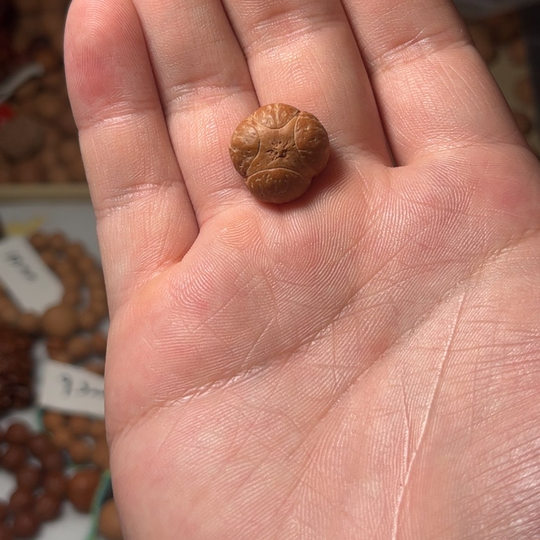 桃核吊坠17mm麒麟眼，开孔不退，偏远不包