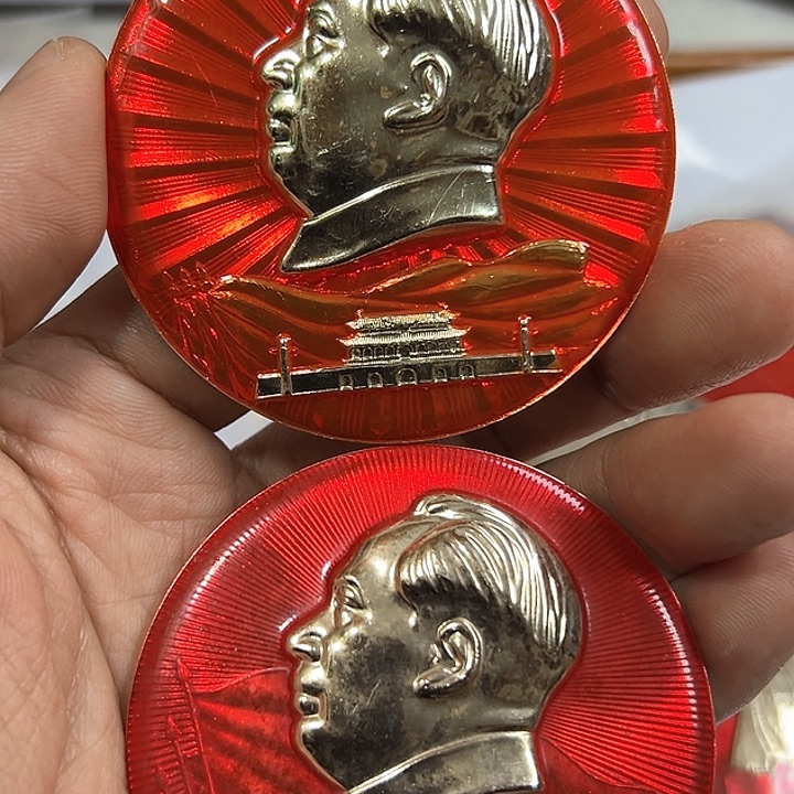 其他普通金属蛇****婆纪念章一个