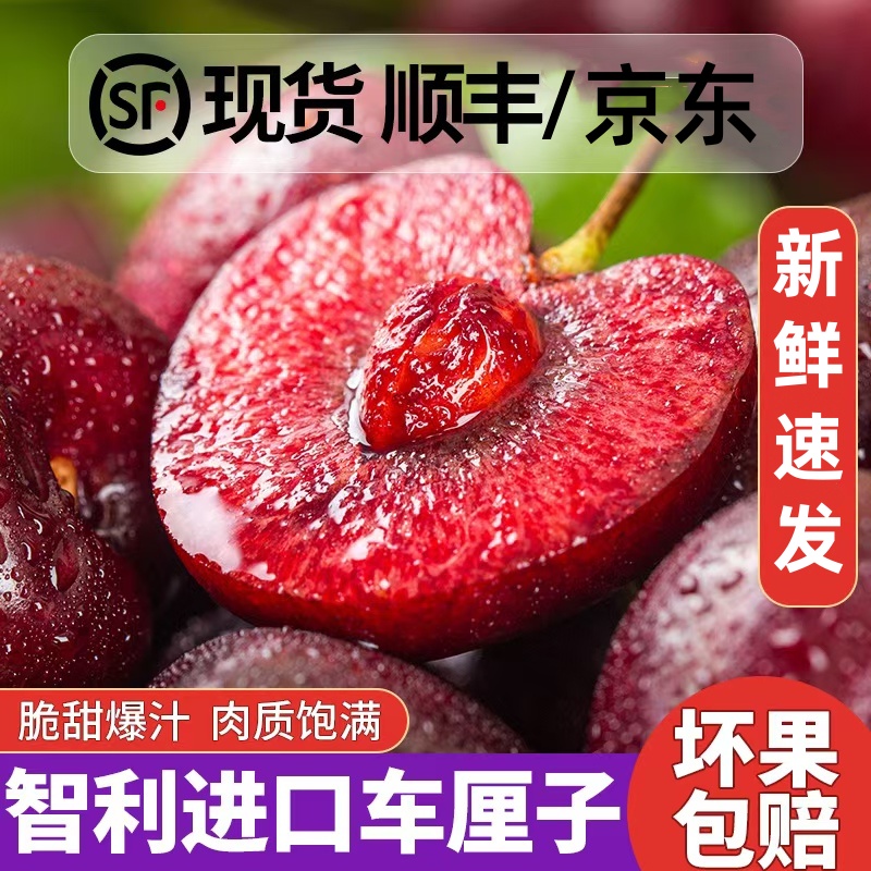 3智利 车厘子新鲜水果礼盒5斤海运进口大樱桃J~4J 内附果径卡