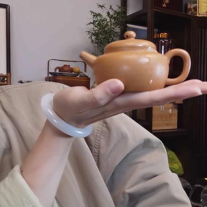 西***甜茶杯紫砂百纳壶半手工