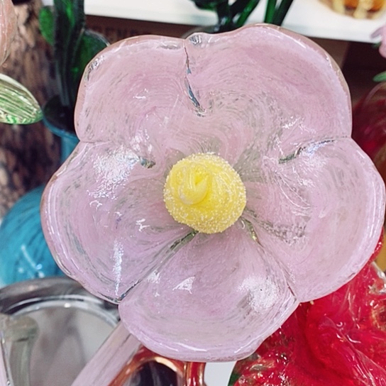 琉璃夜光花高45厘米