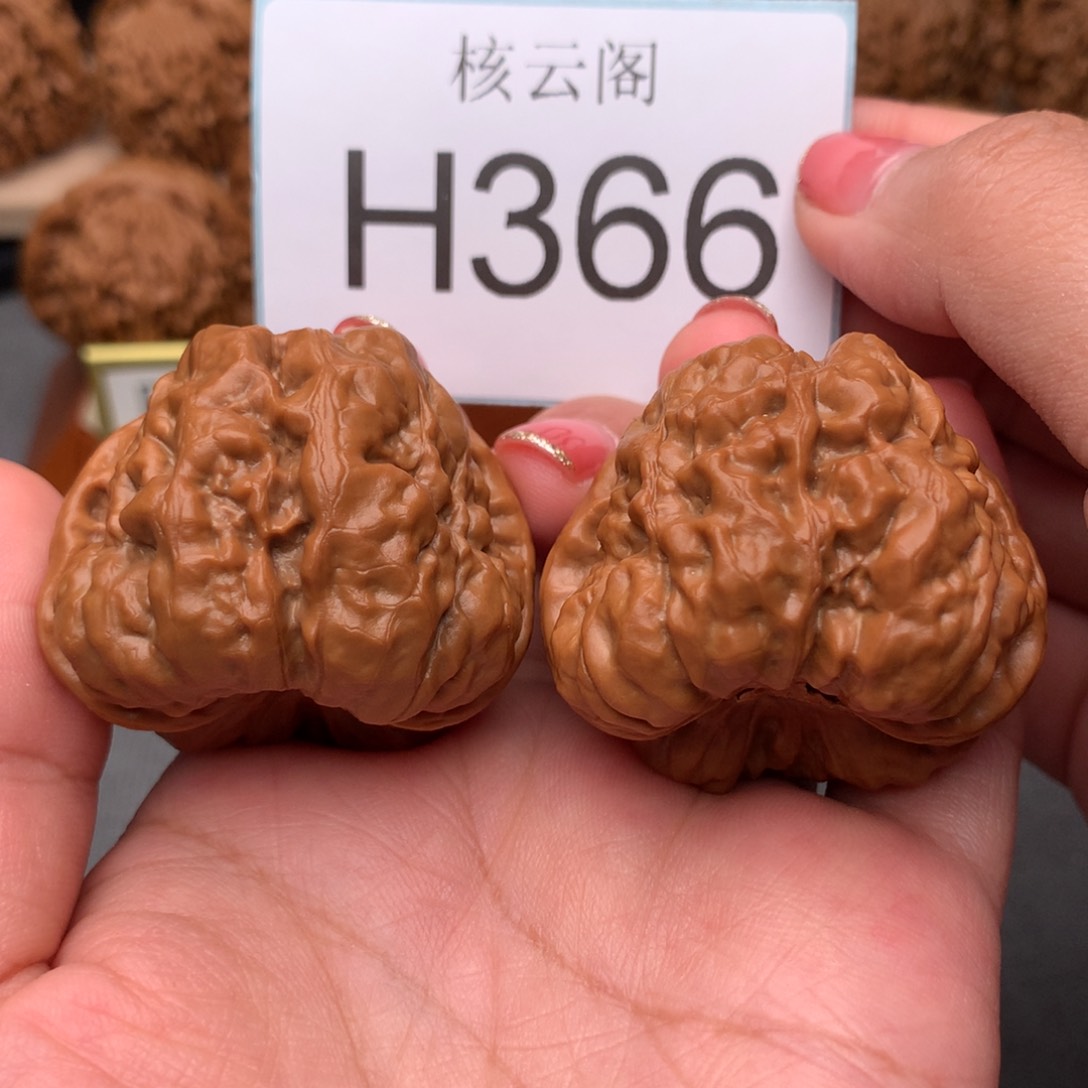 文玩核桃把件43红皮蛤蟆头