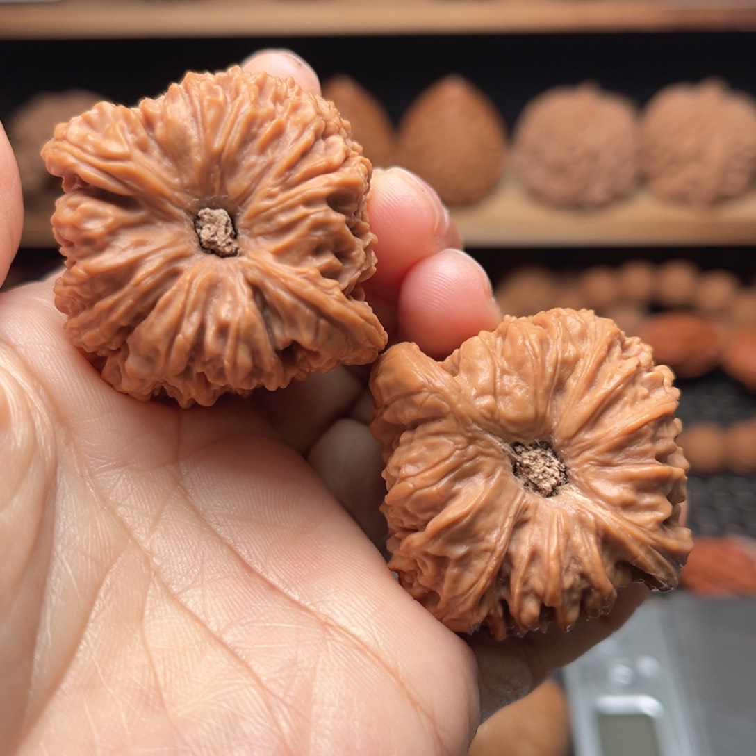 文玩核桃南疆石凹底40