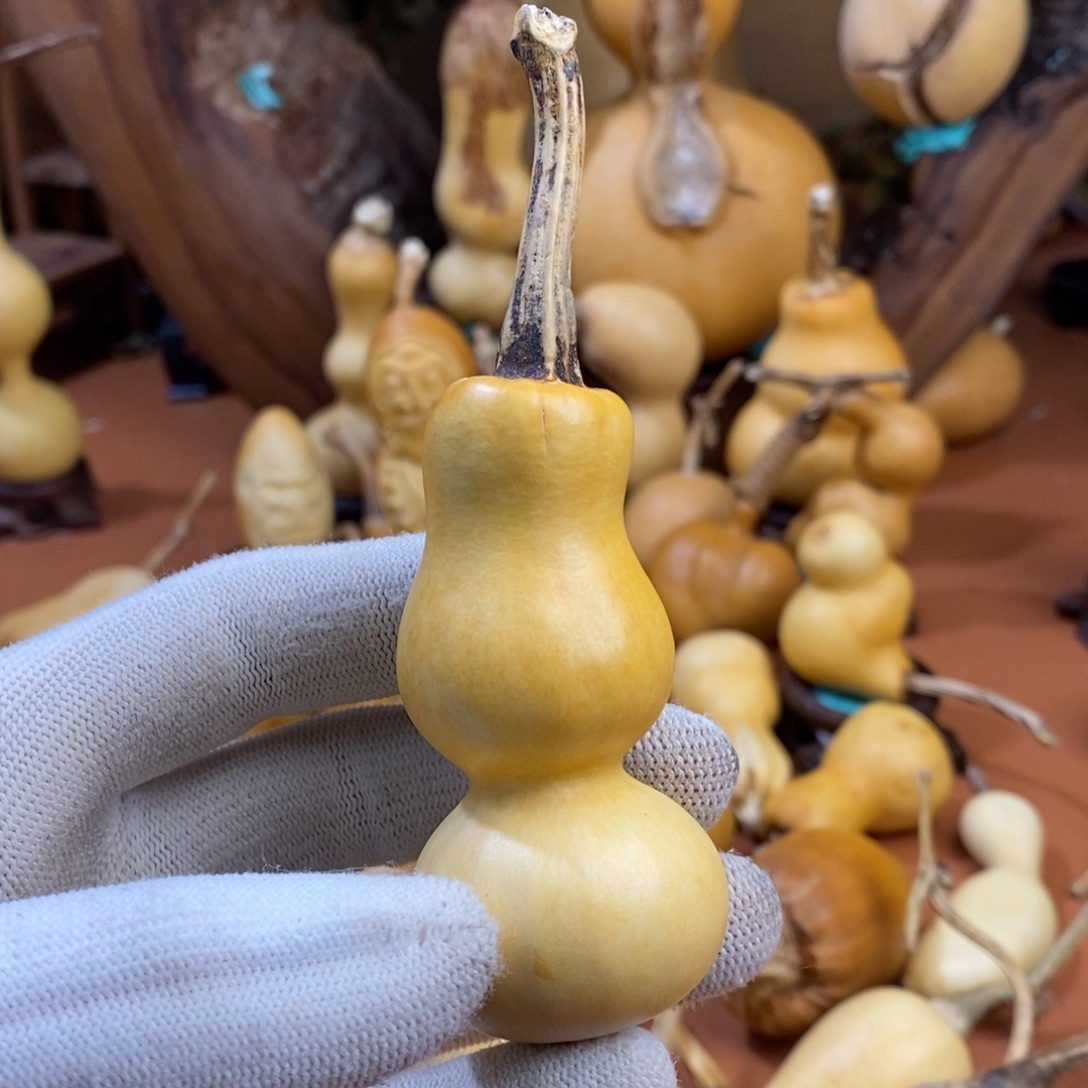 三***少教练教练来咯哦哦嘛