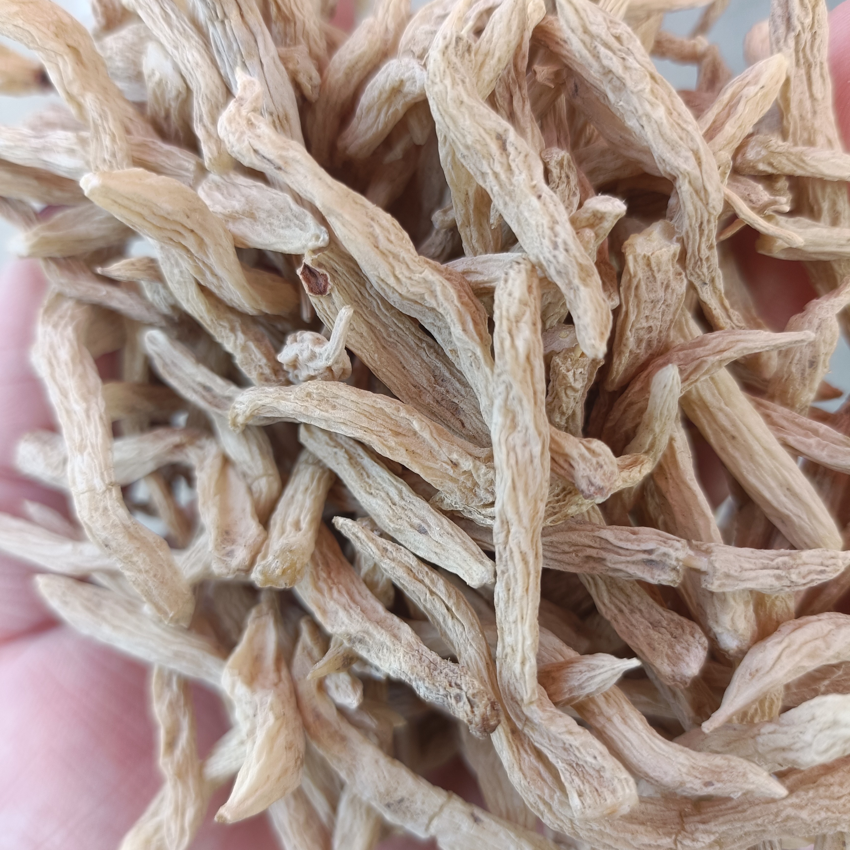 云南土特产～下山麦冬