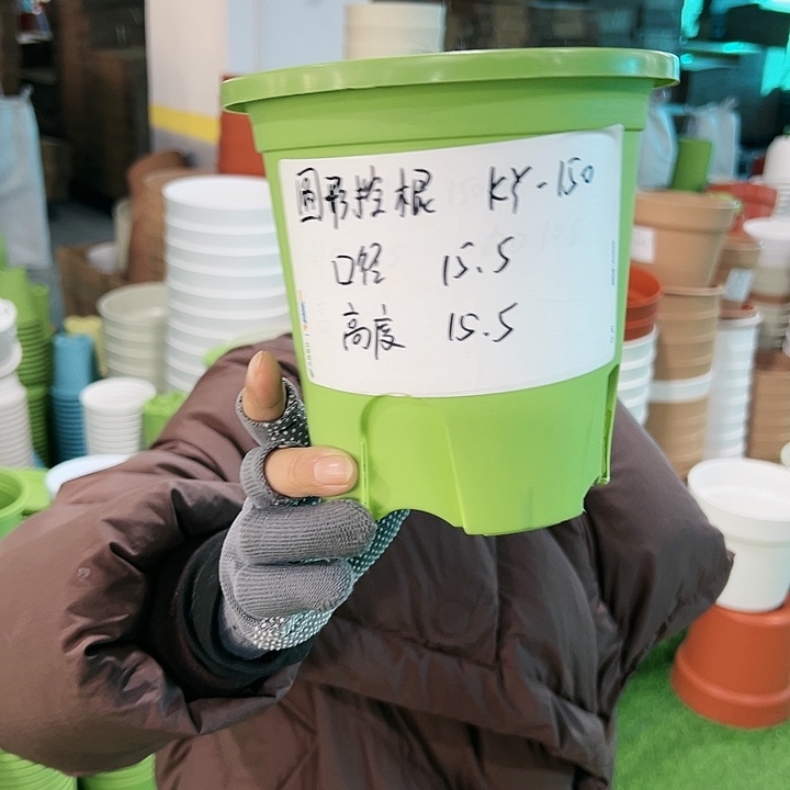 正品圆控口15高15果绿无托10只