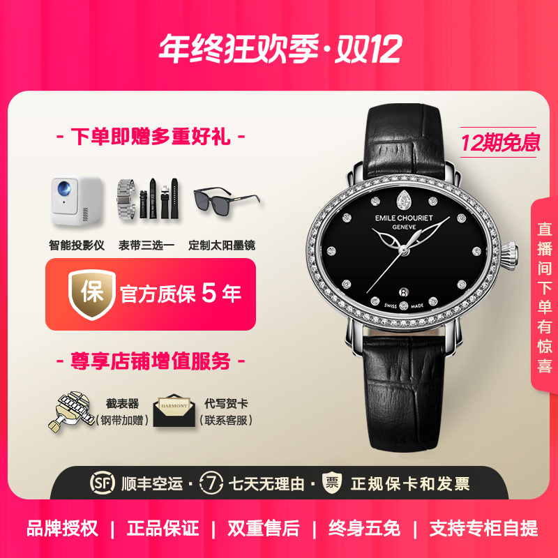 瑞士艾米龙Emile Chouriet新明珠系列 钻石玛瑙石 椭圆机械表女