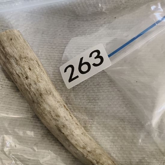 闲***事鹿角鹿角鹿角鹿角鹿角鹿角