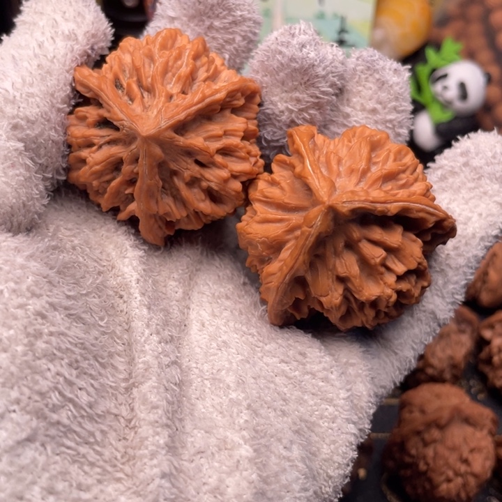 44尺秦岭野生龙鳞三棱