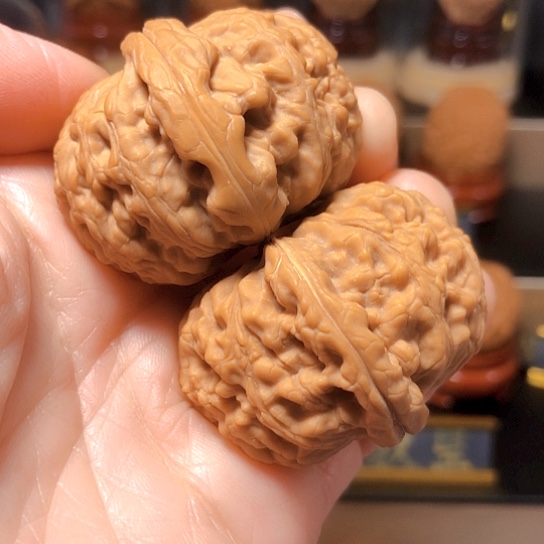 漆*野生小众：精品龙王