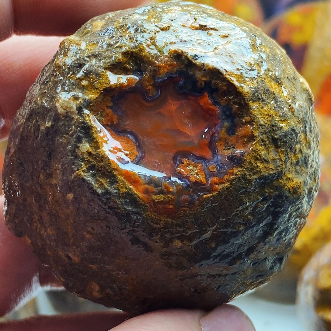 小***龙定制玛瑙未镶嵌战国红