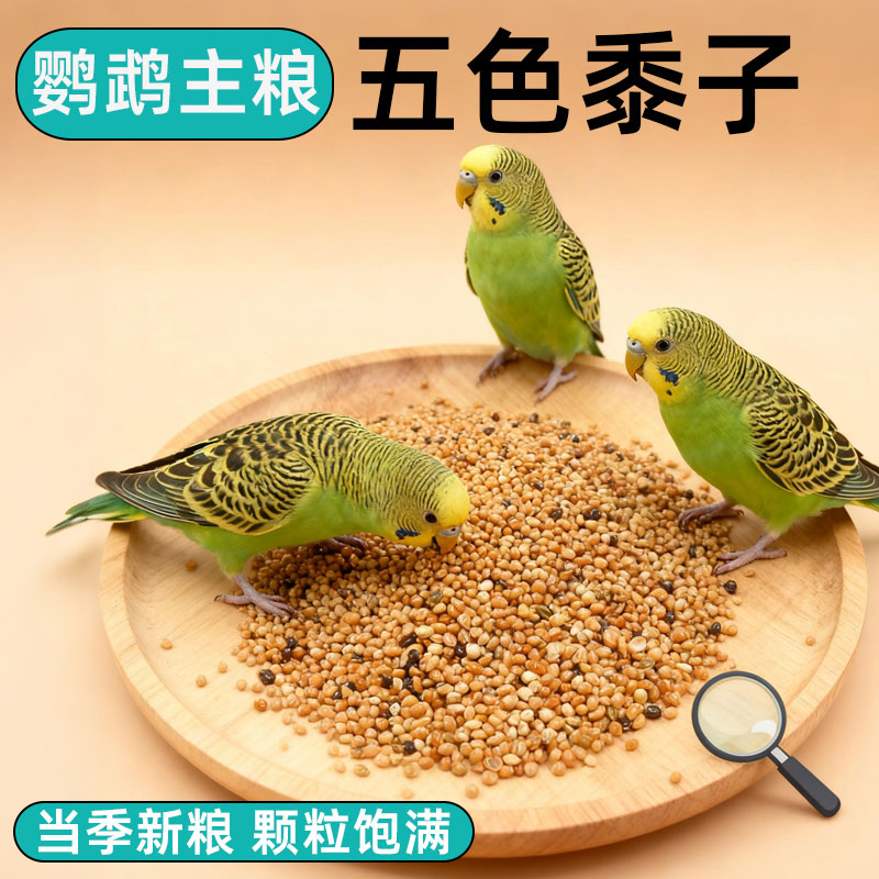 五色黍子带壳小米黄谷子玄凤虎皮牡丹珍珠鸟粮食鹦鹉鸟粮饲料鸟食