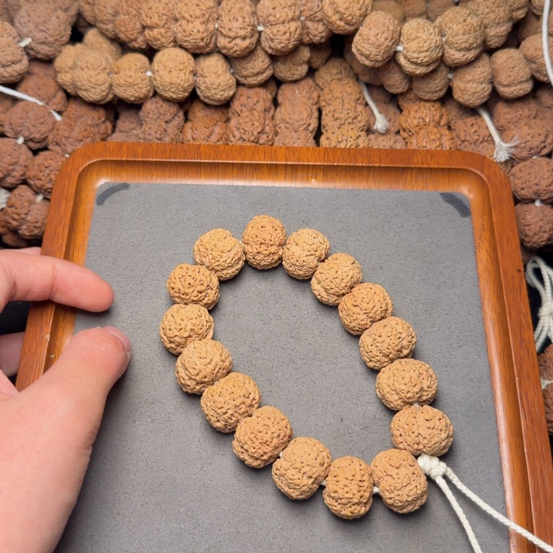 1号尼泊尔大金刚20五星蜂王菠萝蜜