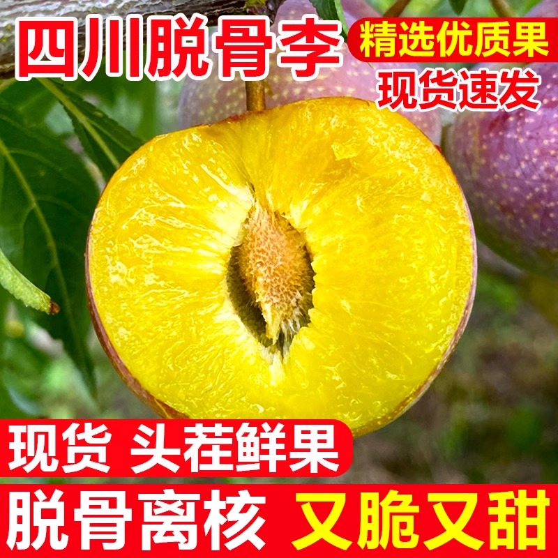 四川正宗脱骨李子茵红李新鲜现摘脆甜多汁当季水果