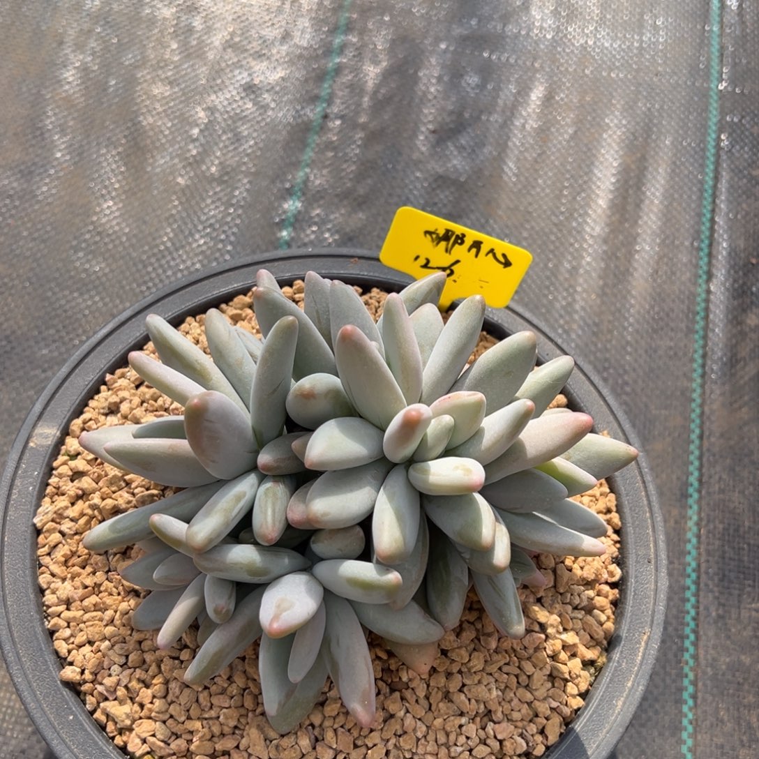 娜***心12611111111111111111111