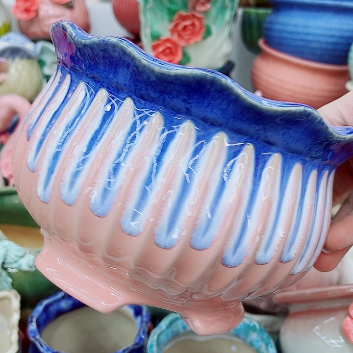 多肉植物陶瓷花盆