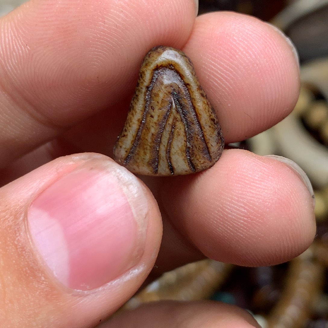 泥塑藏式啊啊啊啊