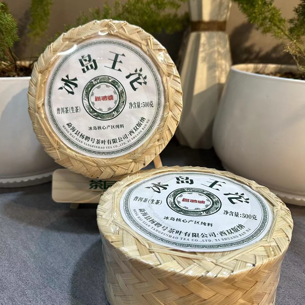 茶园世家杨聘号冰岛王沱古树纯料普洱茶500g/沱 生普（6月16号）