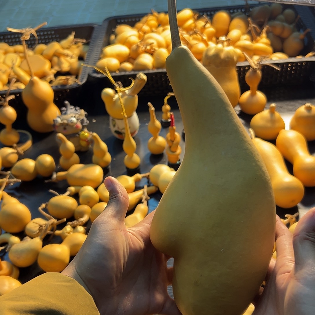 怀抱子葫芦葫芦葫芦