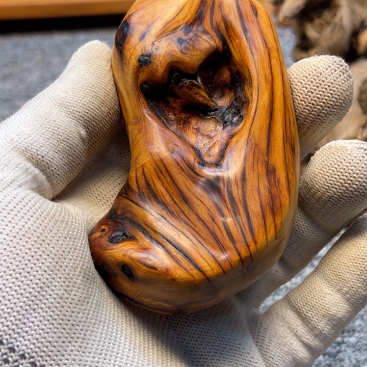 柏木（崖柏）崖柏121