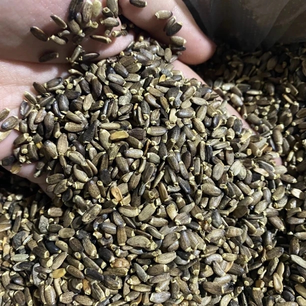 【阿雅专属南北】水/飞/蓟 净含量250g起非香菇