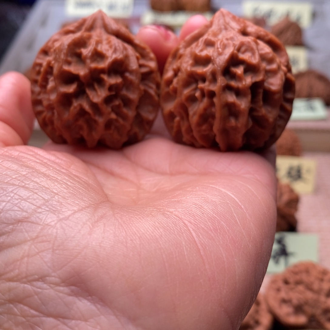 棣***棠把件文玩核桃曹大龙