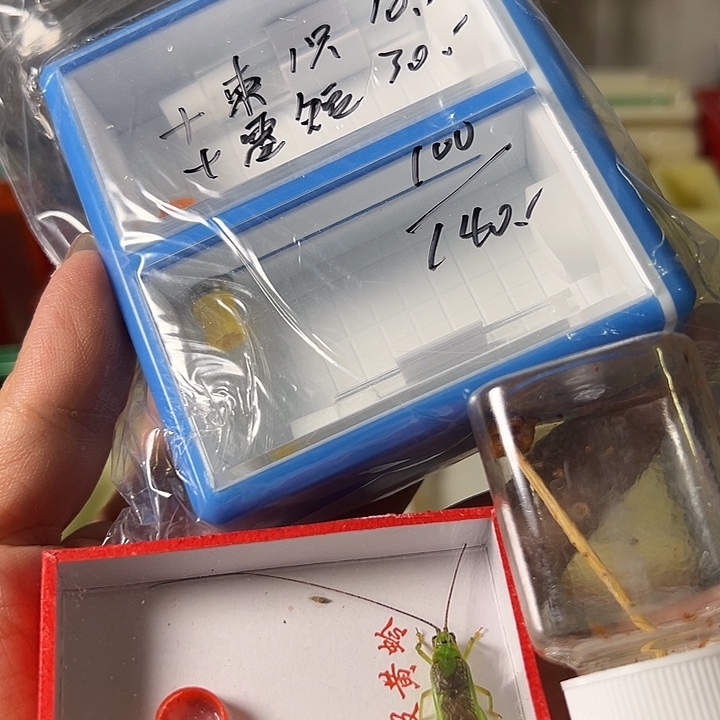 把***掉蟋蟀哈哈哈哈哈哈哈哈哈哈