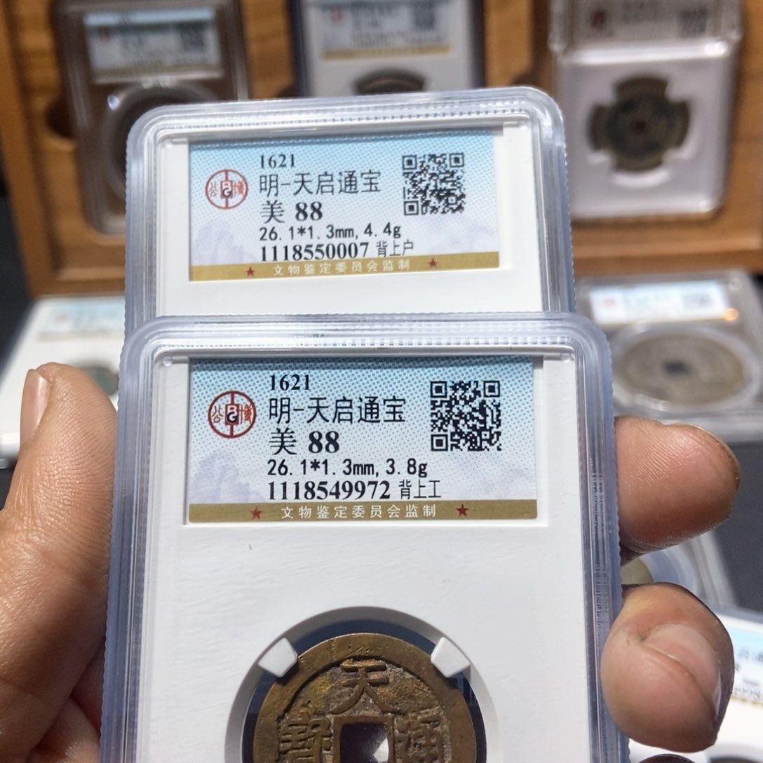 铜天***觉董董精选天启通宝一对，背工背户0007.9972